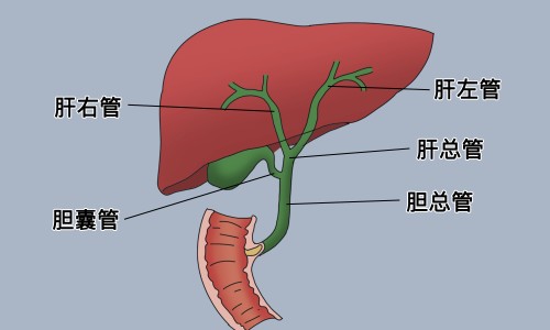 维生素b12不能随便吃-【维生素b12正确吃法】维生素b12一天吃几次一次吃几粒 - 维生素b12哺乳期能吃吗网