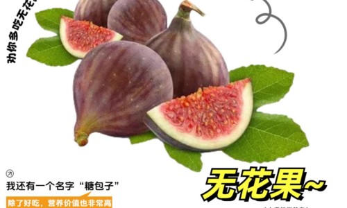 无花果哺乳期能吃吗
